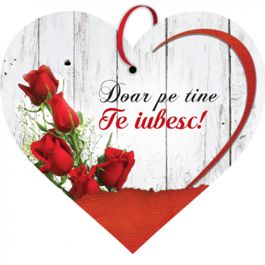 Tablou Es9515 Mesaj Valentine S Day 22 X 20 Cm